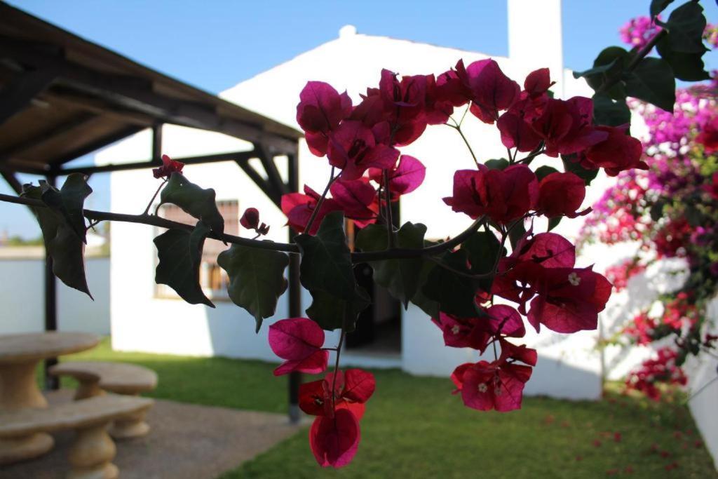 Hacienda Los Majadales Conil De La Frontera Εξωτερικό φωτογραφία