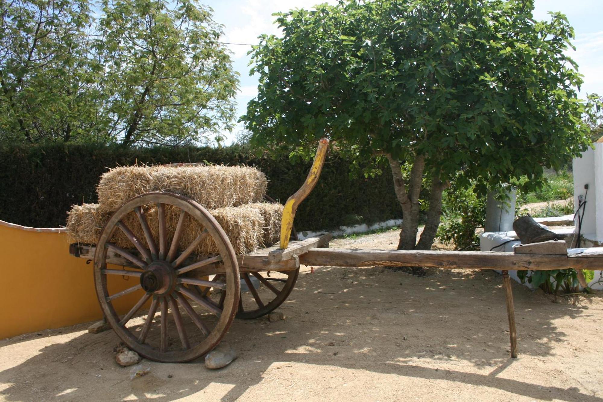 Hacienda Los Majadales Conil De La Frontera Εξωτερικό φωτογραφία