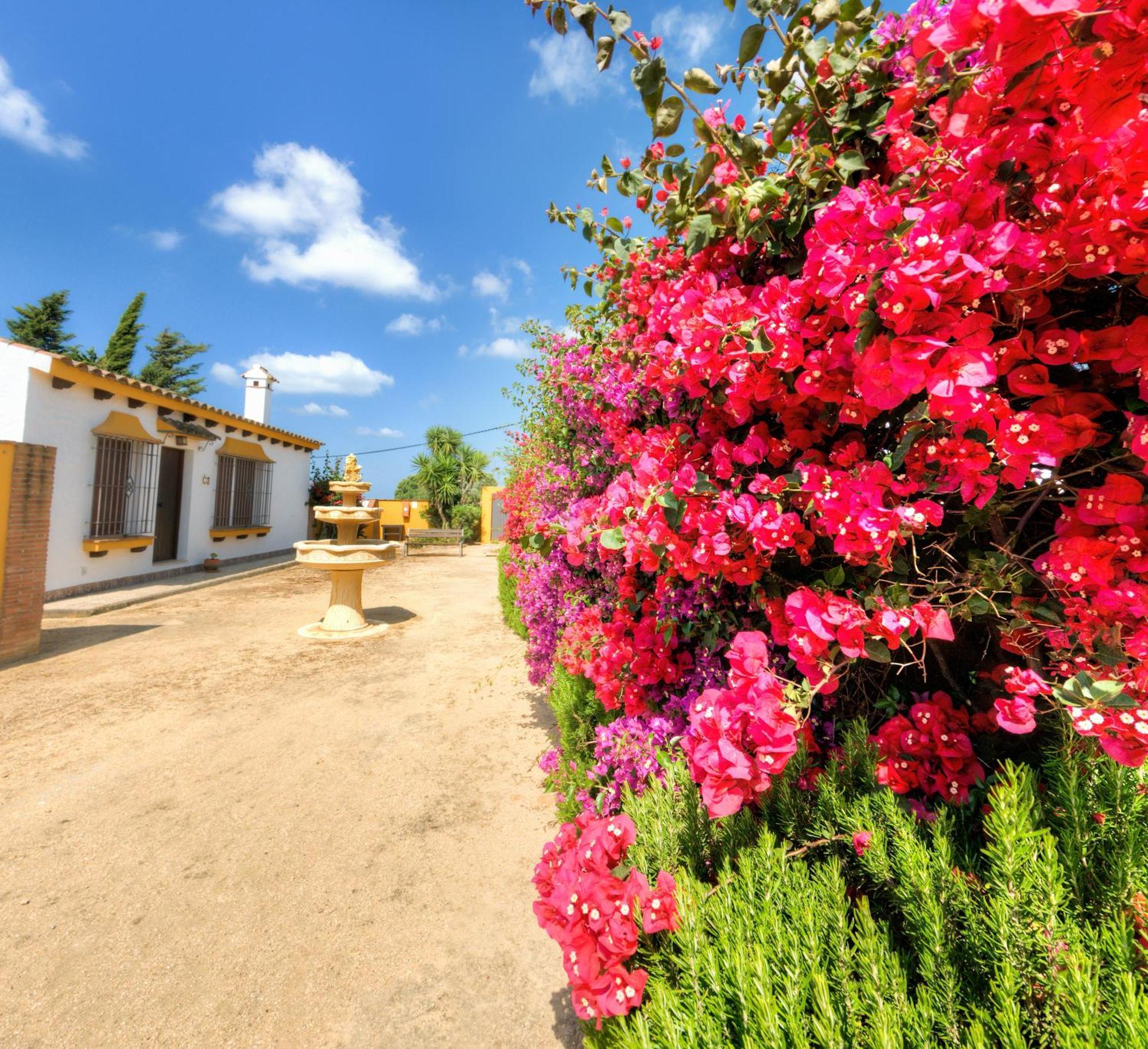 Hacienda Los Majadales Conil De La Frontera Εξωτερικό φωτογραφία